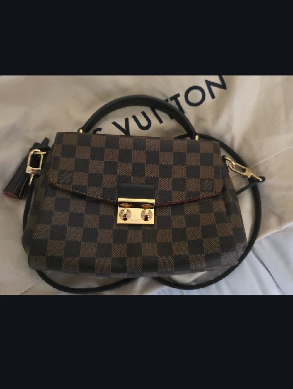 New Louis Vuitton Croisette Bag
